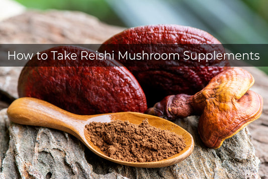 benefits of reishi mushroom supplements - ganoderma lucidum