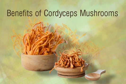 Cordyeps fungus next to extract powder with a greenish background for cordyceps mushroom benefits article
