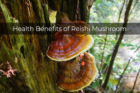 Health benefits of reishi mushroom (lingzhi) - ganoderma lucidum