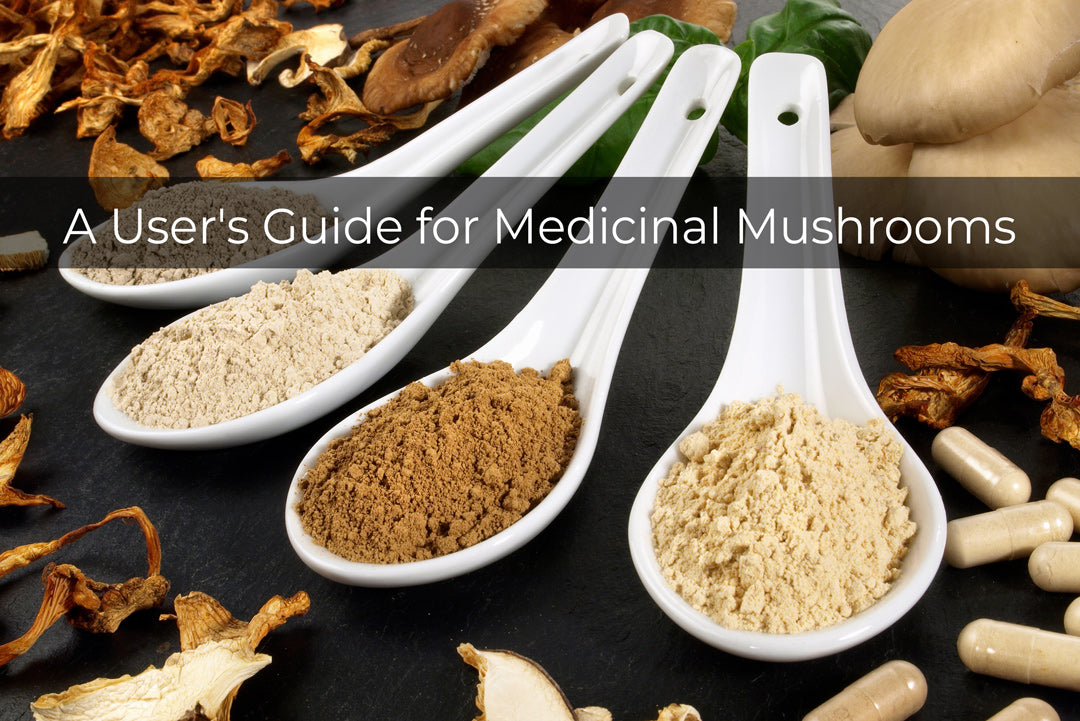 medicinal mushrooms guide for species, genus and dosages