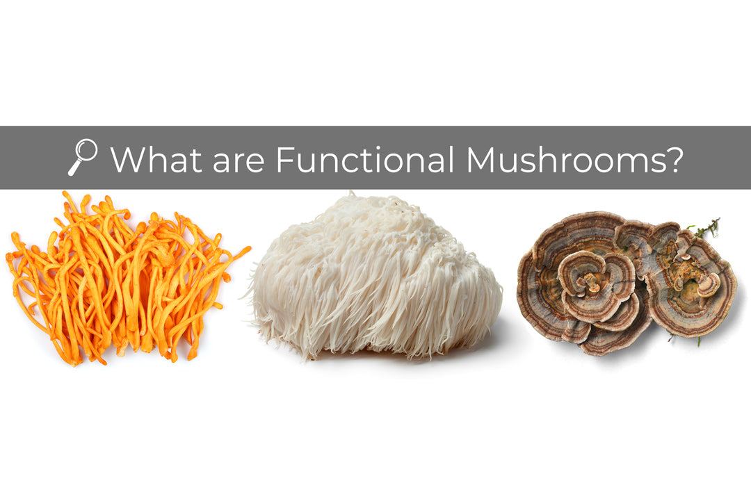 benefits of functional medicinal mushrooms - lion's mane, cordyceps, turkey tail
